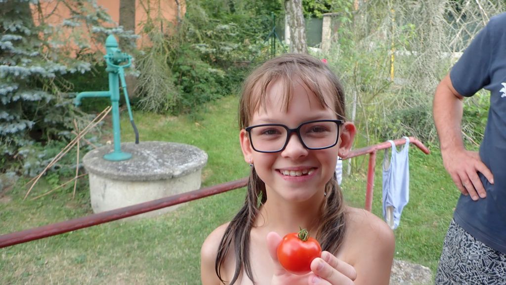 Vlastní rajče
