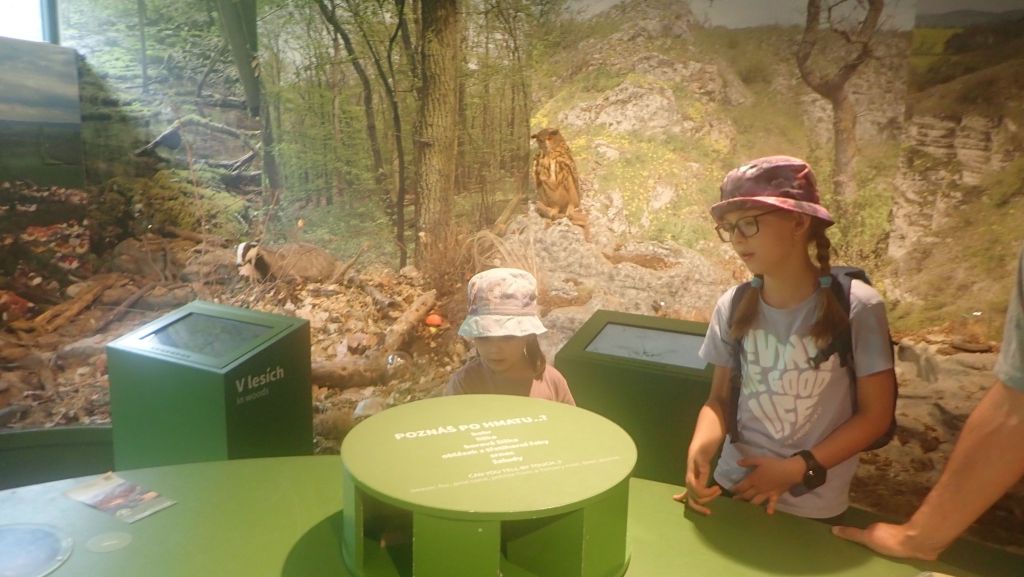 Přírodovědná expozice Koněpruské jeskyně
