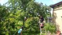 P6130106~0.JPG