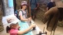 P8250803~0.JPG